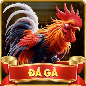 Cá cược Thể Thao 55win