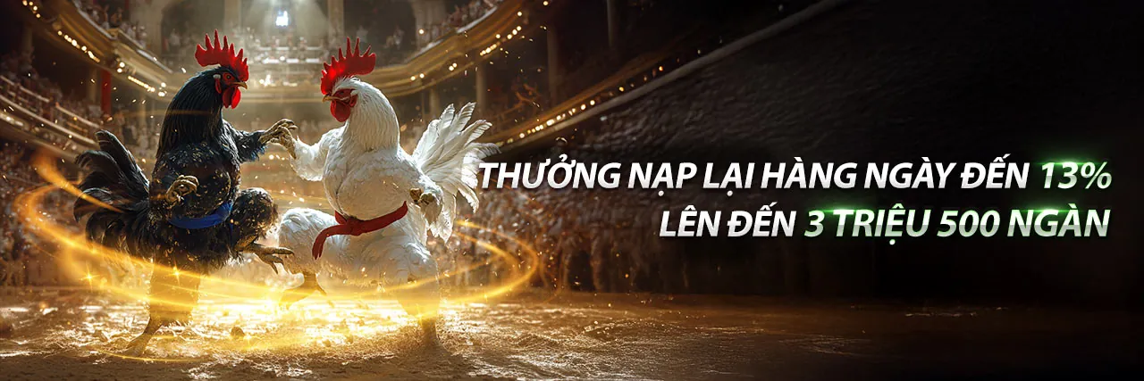 Đá gà trực tuyến kịch tính tại đấu trường